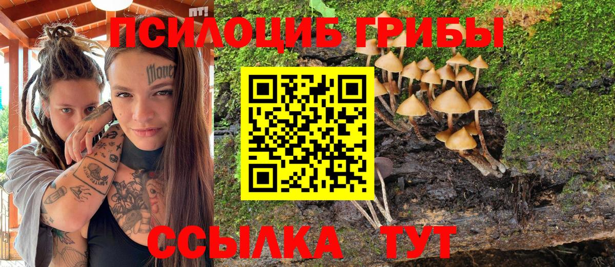Галлюциногенные грибы прущие грибы  Вход с VPN  Галлюциногенные грибы MAGIC MUSHROOMS  Лосино-Петровский 